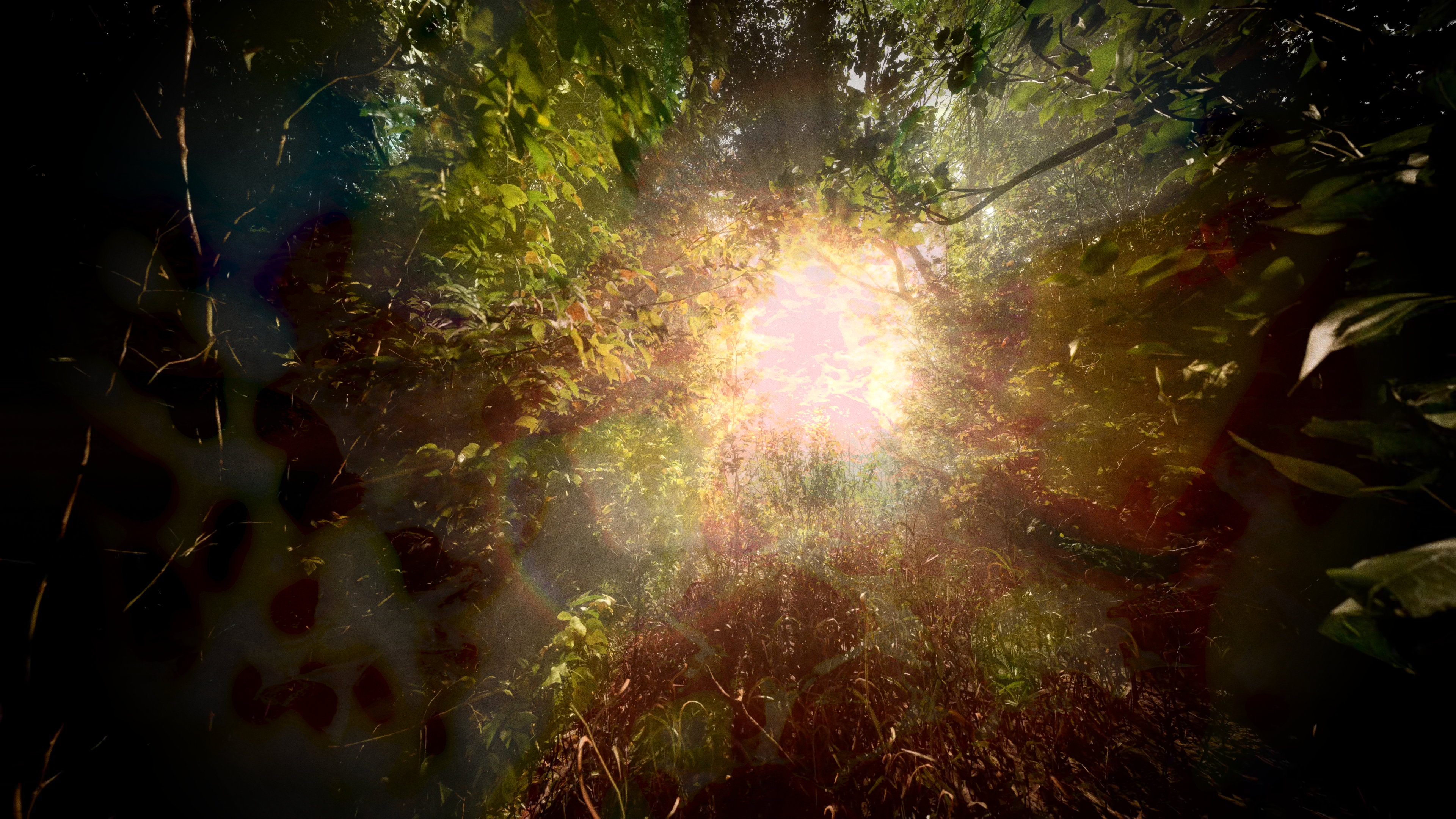 The Sun — album artwork render
